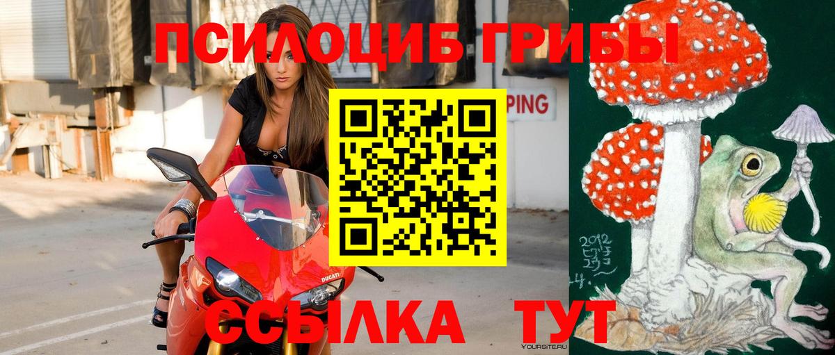 Галлюциногенные грибы Cubensis Амурск